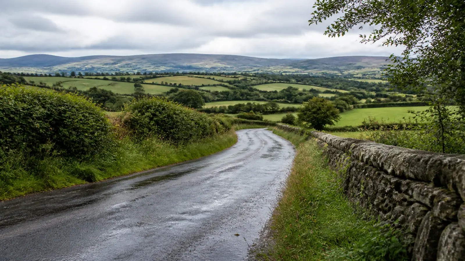 Estrada rural molhada no condado de Cork, entre sebes, campos e um muro de pedra