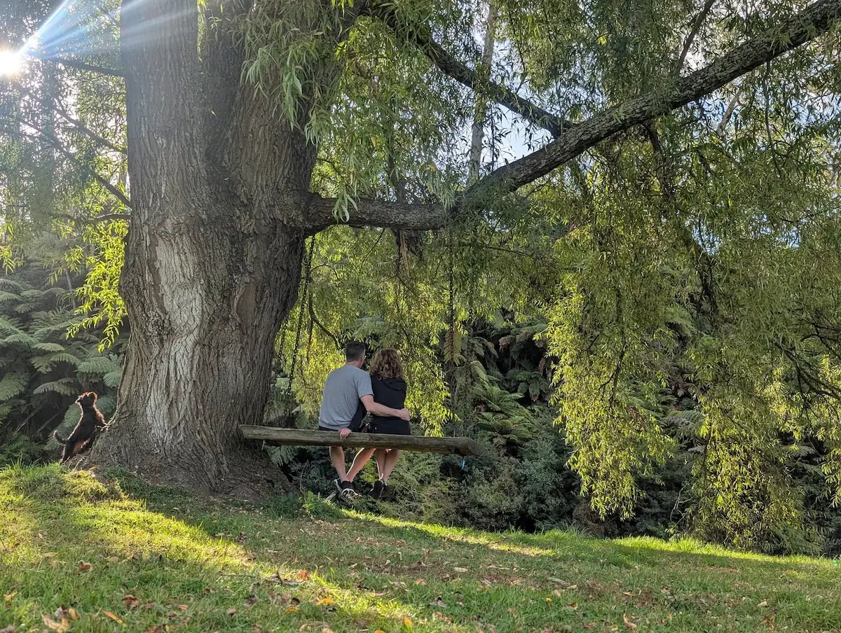 Deux personnes sur une balançoire sous un arbre chez Teal Corner à Okoroire